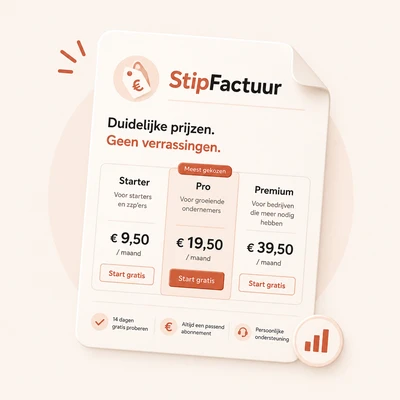 Vergelijking van de Stipfactuur-abonnementen